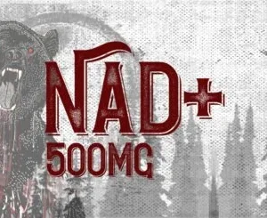 NAD+ – 10mg