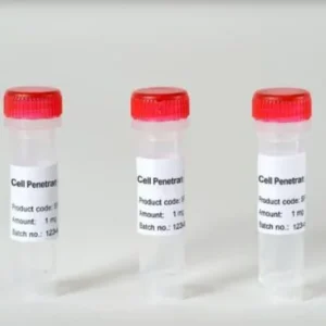 (Arg)9 Nona-D-Arginine Peptide