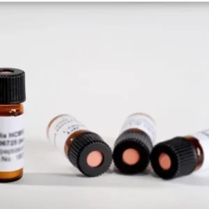 Antigen Peptide Capsid protein H2-Ld (VPQYGYLTL)